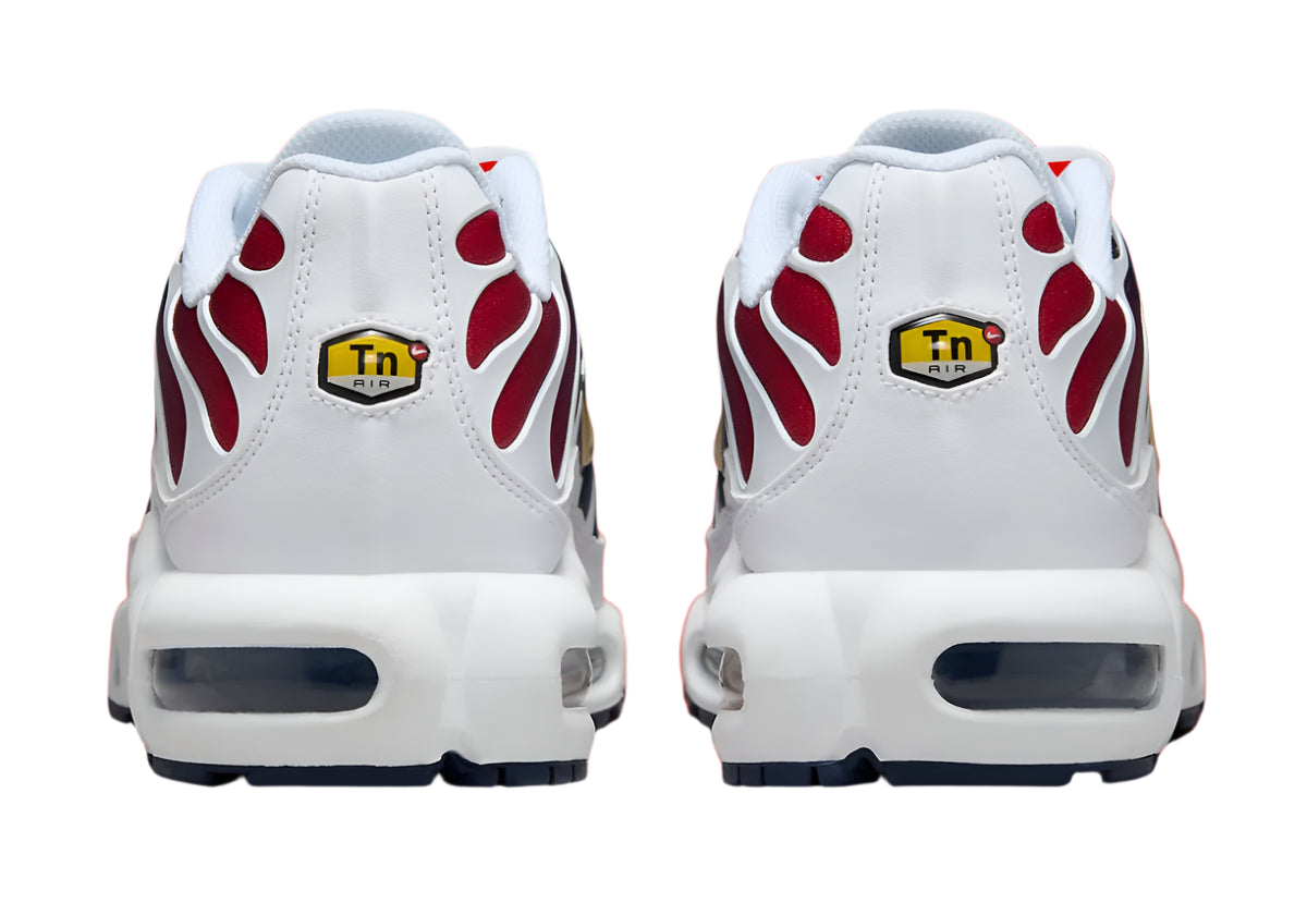 Air Max Plus TNS PSG