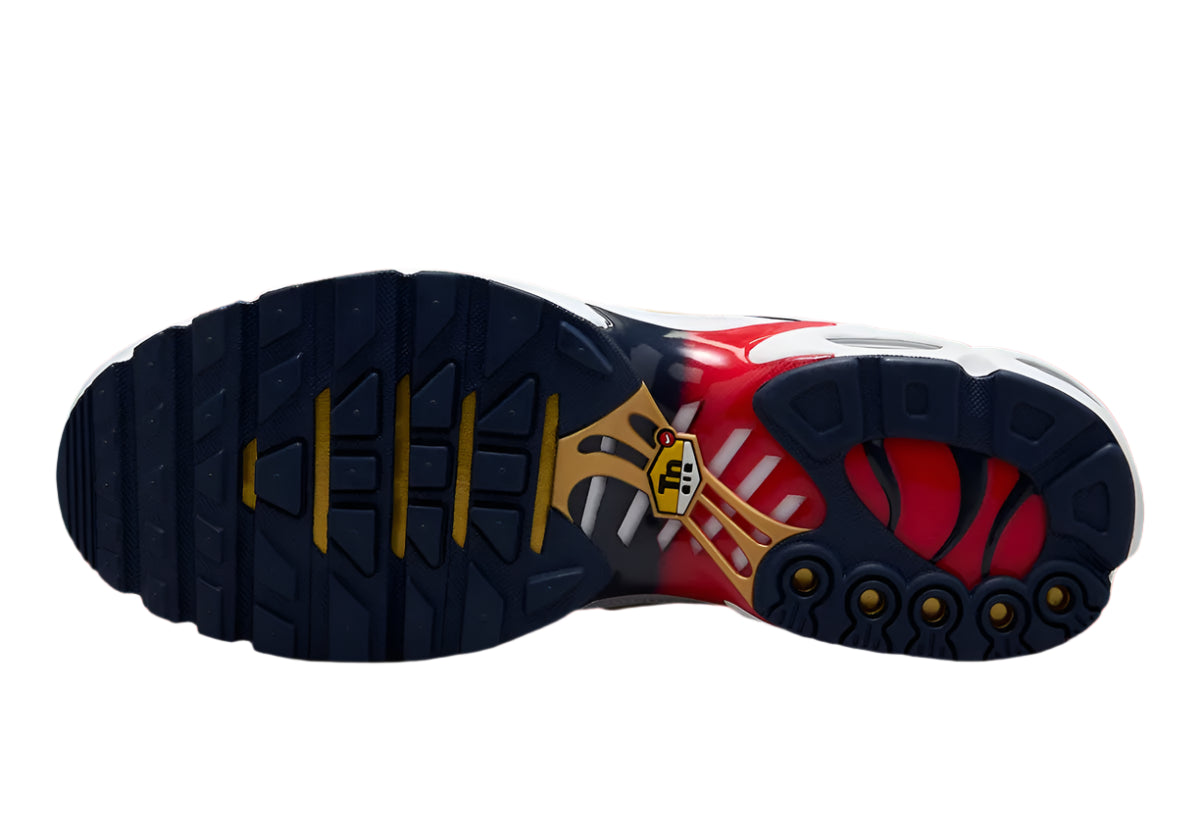 Air Max Plus TNS PSG